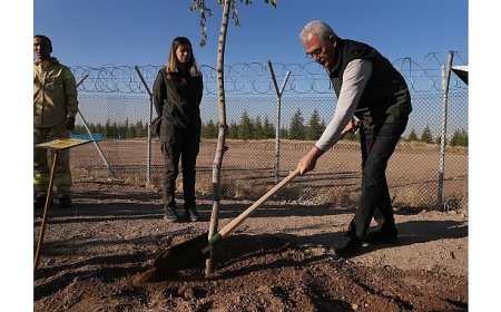 OGM: 30 milyon fidan sahiplenildi