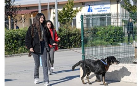 İzmirli hayvansever Çörekçi’nin emanetlerine İzmir Büyükşehir Belediyesi sahip çıktı