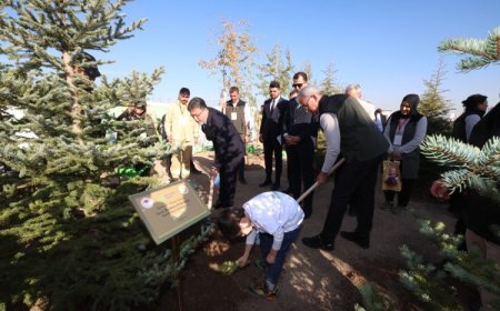 30 milyon fidan ‘geleceğe nefes’ oldu