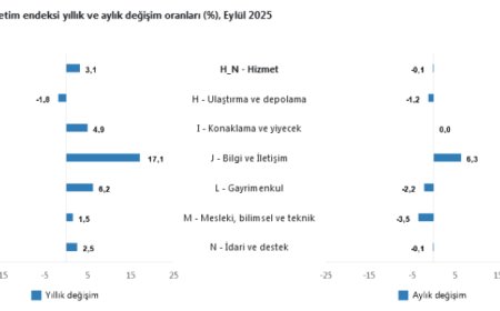 Hizmet üretiminde bilgi ve iletişim sektörü revaçta