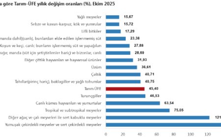 Tarım-ÜFE yıllık yüzde 45,40 arttı! Tek yıllık bitkisel ürünlerde sert fiyat artışı