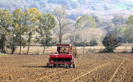 Büyükşehir’in hibeli tohumları toprakla buluştu