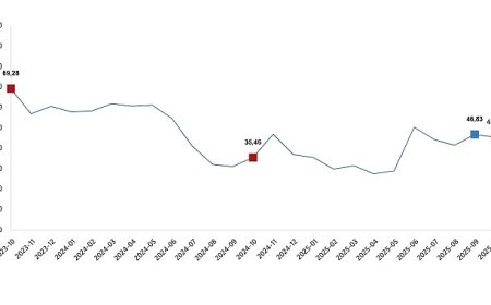 Tarım Ürünleri Üretici Fiyat Endeksi, Ekim 2025