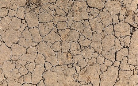 TEMA Vakfı: Toprak Yoksa Su, Su Yoksa Gıda Yok!