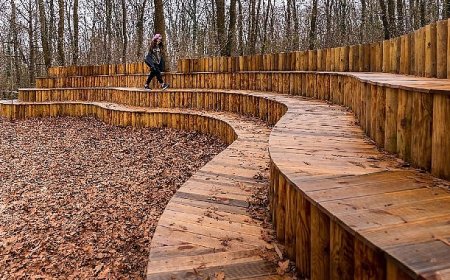 Sonbahar, huzurun adresi Ormanya’da bir başka