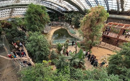 İzmir Doğal Yaşam Parkı’na ziyaretçi akını