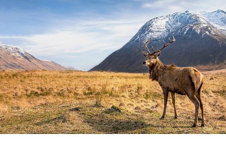 6 Bölümlük Seri ‘Avrupa’nın Vahşi Harikaları’, 15 Kasım’dan İtibaren Cumartesi Günleri 20.00’de İki Bölüm Art Arda National Geographic WILD Ekranlarında!