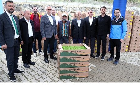 Gebzeli çiftçiye 500 bin sebze fidesi