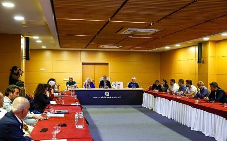 Büyükşehir deniz ekosistemini “Yapay Resif Projesi” ile koruyacak