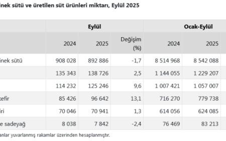 Eylül’de inek sütü yüzde azaldı, ayran ve kefir üretimi arttı