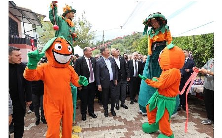 Menderes Mandalina Festivali İle Coşacak