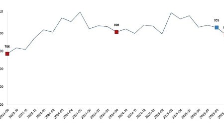 Süt ve Süt Ürünleri Üretimi, Eylül 2025