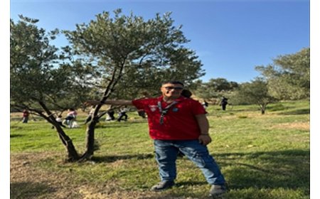 Engelli yurttaşlar ve yakınları zeytin hasadında buluştu