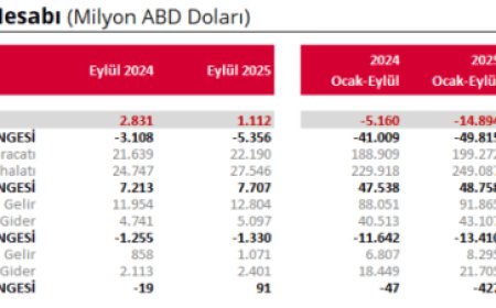 Eylül’de cari işlemler hesabı fazla verdi