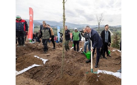 Karamürsel’de yanan bölge 3 bin fidanla yeniden yeşerecek