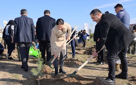 Fidanlar Toprakla Buluştu