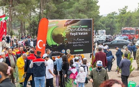 Başkan Özyiğit, Emirler’deki yeşil seferberliğe katıldı