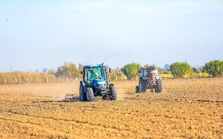 Didim’de Toprağın Bereketi Halkla Buluşuyor