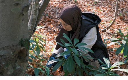 Kuzuyayla’da mantarların gizemli dünyası keşfedildi