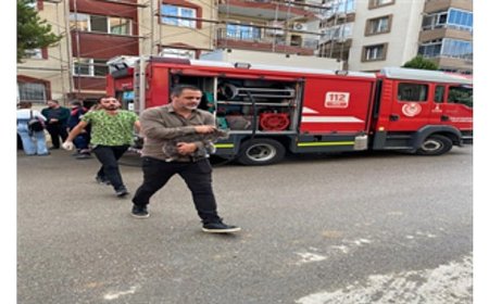 Mazgala düşen kayıp köpek ve yangında mahsur kalan kediler itfaiyenin çabasıyla kurtarıldı