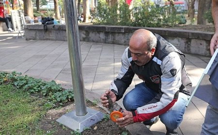 Üç vatan toprağı, Zübeyde Anne’nin huzurunda buluştu