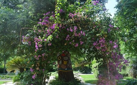 Ege Üniversitesinin endemik tür cenneti: “Botanik Bahçesi