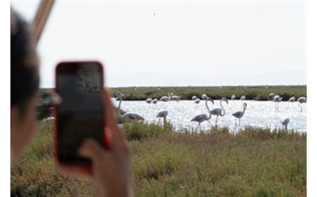 Doğa ve lezzet tutkunları bu turları çok sevecek