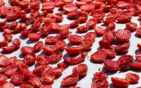 Kuru domates ihracatı 100 milyon doları aştı