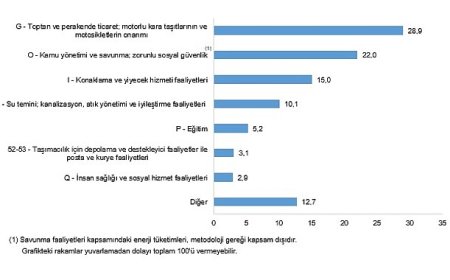 Hizmet-Ticaret Sektörü Nihai Enerji Tüketim İstatistikleri, 2024