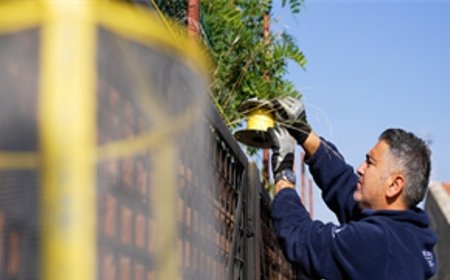 İzmir Büyükşehir Belediyesi’nden karasinekle yoğun mücadele