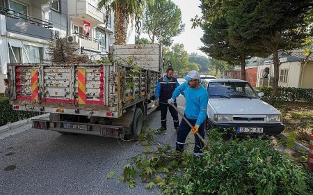 Temiz bir Gaziemir için yeni uygulama: Bahçe atıkları adresten alınıyor