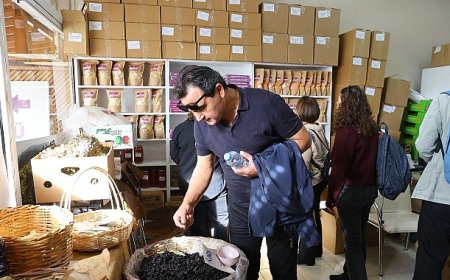 Türkiye’nin Dört Bir Yanından Uzmanlar Kavacık Köyü’nde Buluştu