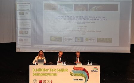 Nilüfer’de iklim krizi odağında Tek Sağlık Sempozyumu