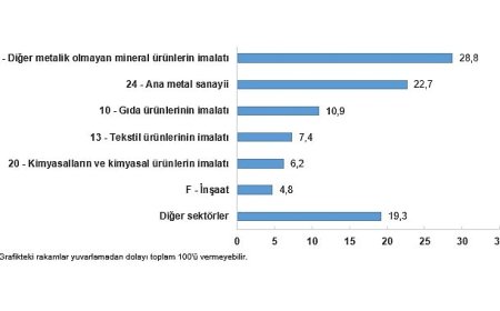 Sanayi Sektörü Nihai Enerji Tüketim İstatistikleri, 2024