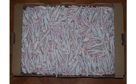 Kanatlı sektörü, Çin’e tavuk ayağı ihracat izninin çıkmasını istiyor