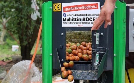 Büyükşehir’in ceviz soyma makineleri üreticilerin hizmetinde