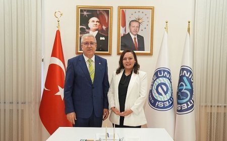 Antikanser bileşenin sentezlenmesine yönelik buluşa Uluslararası Patent