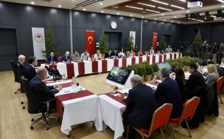 550 milyon fidan seferberliği… Türkiye, ‘Yeşil Vatan’ için düğmeye bastı