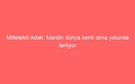 Milletekili Adak: Mardin dünya kenti olma yolunda ilerliyor