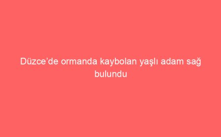 Düzce’de ormanda kaybolan yaşlı adam sağ bulundu