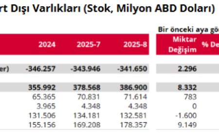 Türkiye’nin net uluslararası yatırım pozisyonu -341,7 milyar dolar!