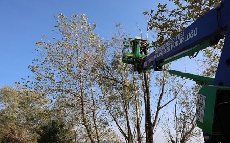 Kartepe’de Yeşil Alanlara Bakım