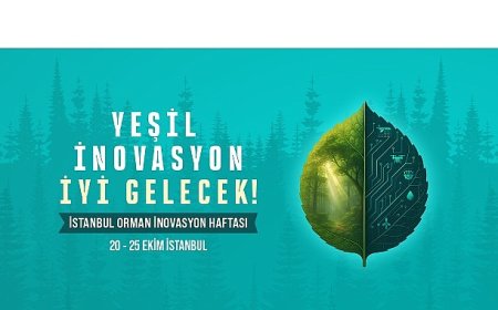 Dünya Ormancılığının Geleceği İstanbul’da Konuşulacak