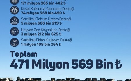 Çiftçiye 471 milyon TL destek hesaplarda