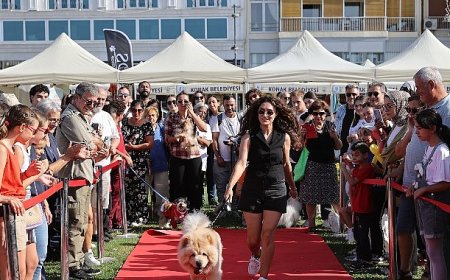 Patilerin Festivali 6 yaşında