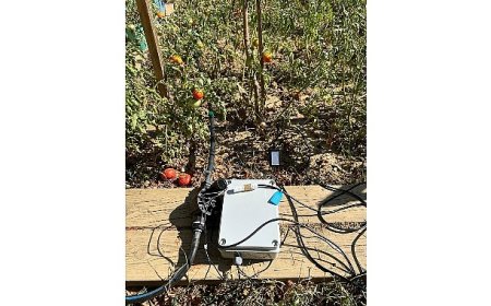 BİLGİ’li öğrencilerden sürdürülebilir tarıma katkı: Elektronik Kontrollü Damla Sulama Sistemi
