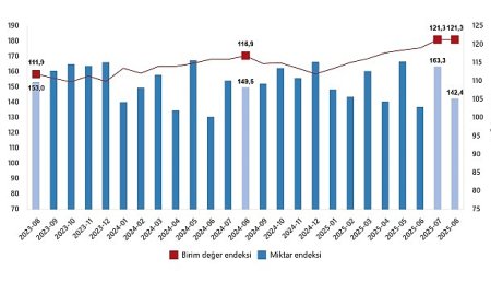 Dış Ticaret Endeksleri, Ağustos 2025