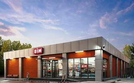 BİM’den Türkiye’nin Ormanlaştırılmasına Büyük Katkı: 2,5 Milyon Ağaç Tohumu Doğayla Buluşuyor