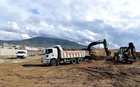 Bornova Misketi köklerine dönüyor