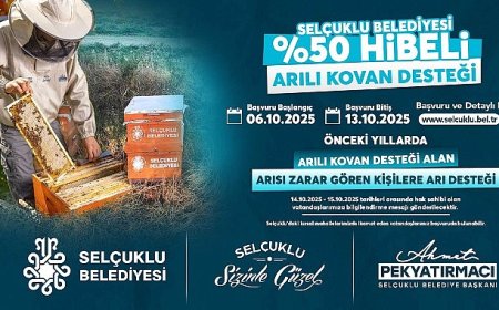 %50 Hibeli Arılı Kovan Desteğinde Son Başvuru Tarihi 13 Ekim